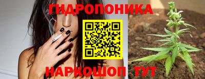 a pvp Гусь-Хрустальный